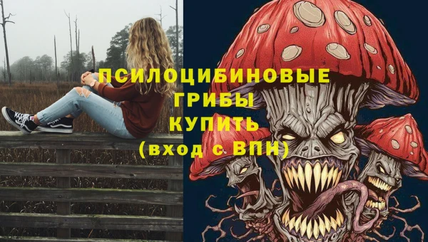 apvp Балабаново